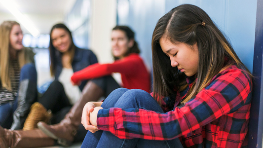 Bullying: Recognition & Response | SafeSchools